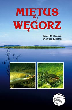 Multico - Miętus i Węgorz. Karol S. Napora, Mariusz Kleszcz Multico - Miętus i Węgorz. Karol S. Napora, Mariusz Kleszcz