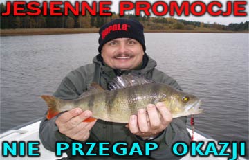 Promocja jesien